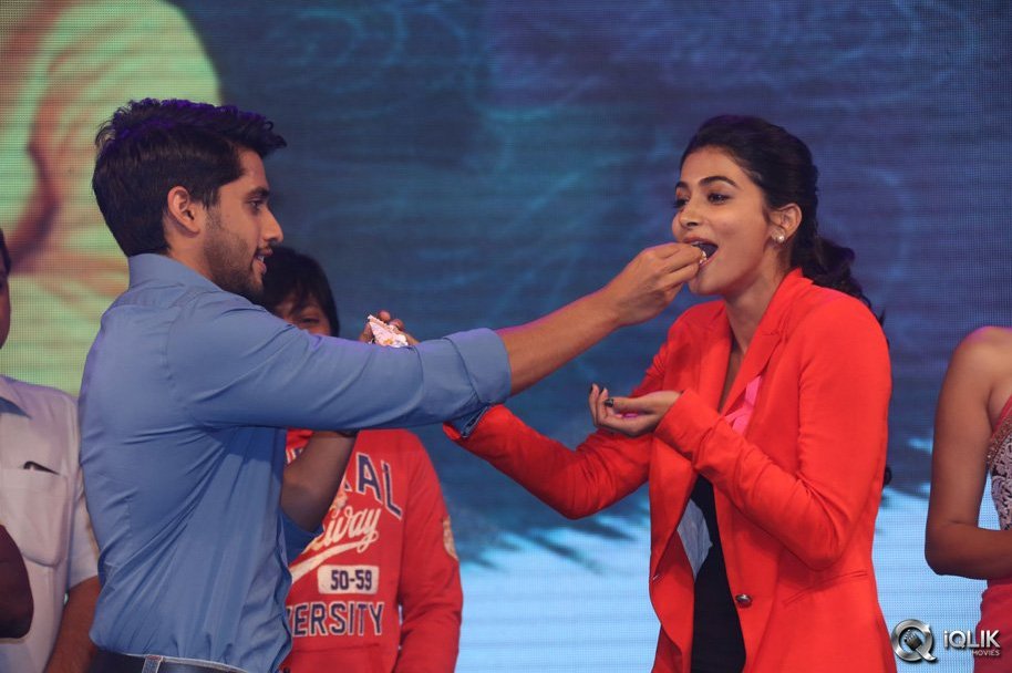 Oka-Laila-Kosam-Movie-Audio-Success-Function